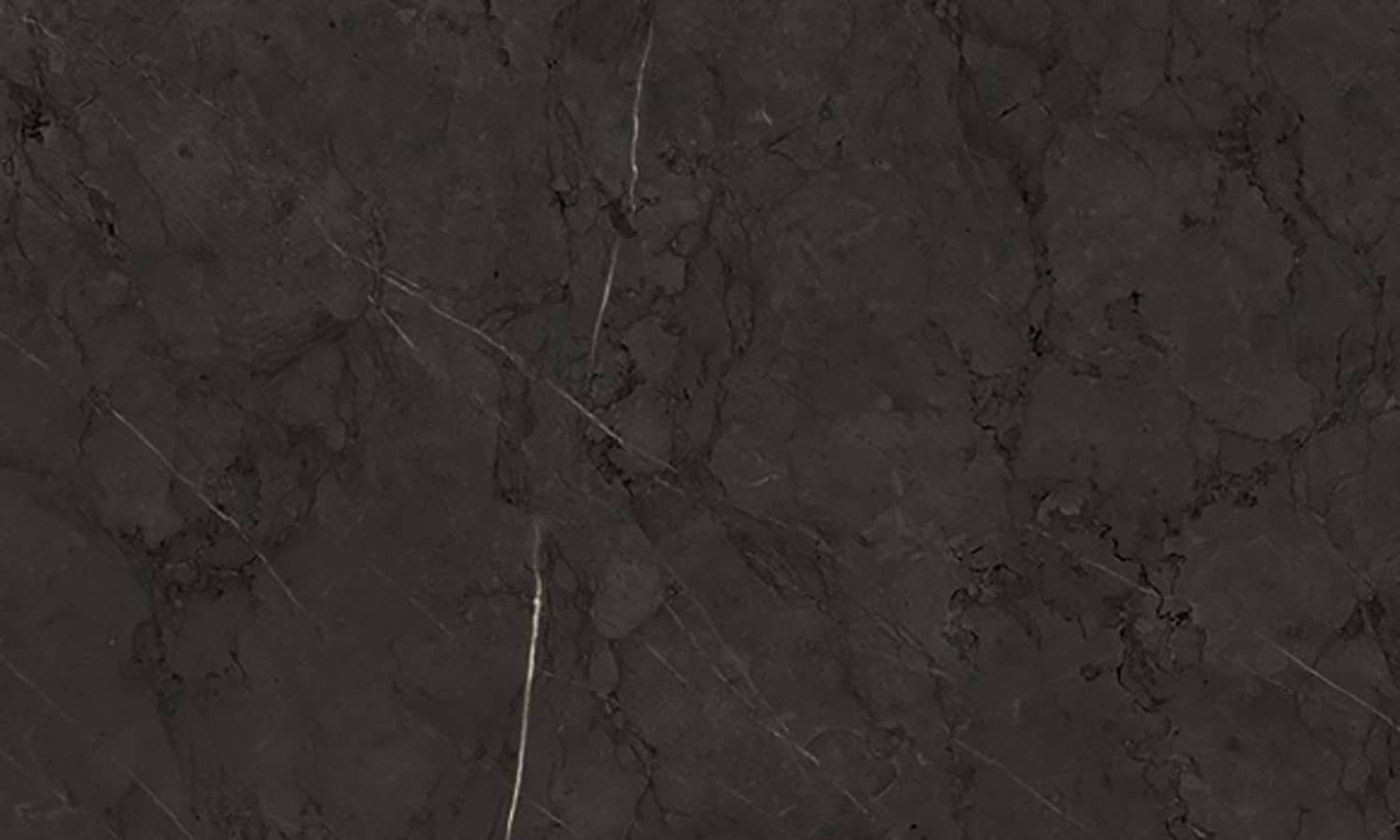 Marquina Black 6665