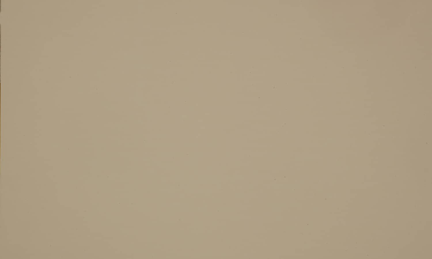 ARPA_0719_BEIGE_LUXOR