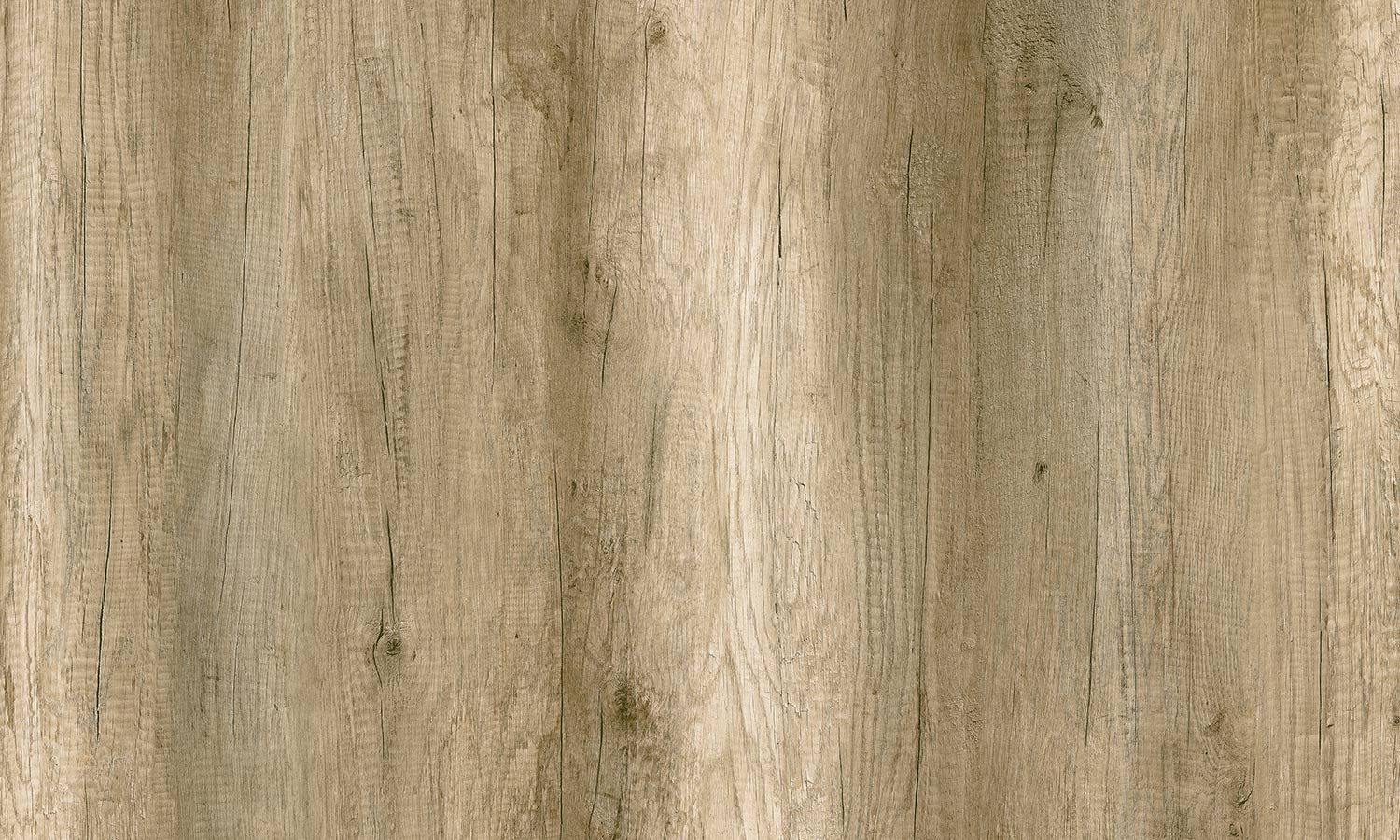 Rovere-Primitivo-669-Rootwood